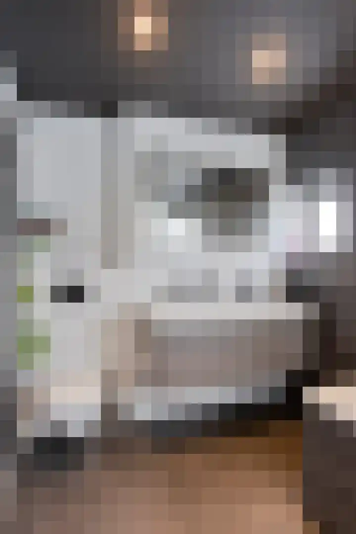 Glenn Millerstraat 11 Zaandijk thumbnail 37