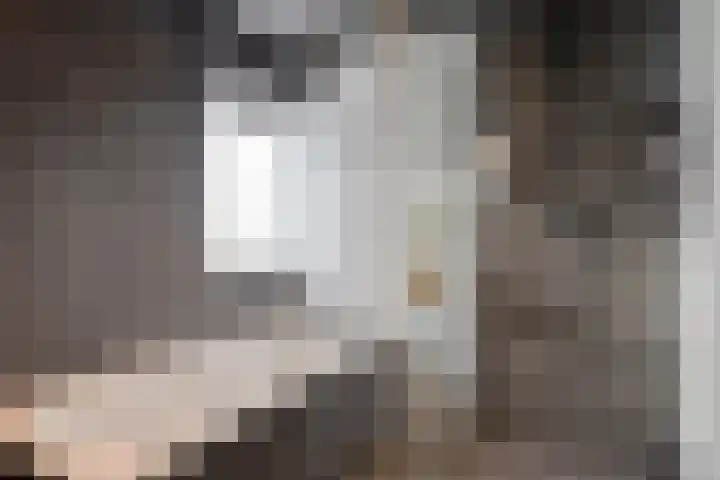 Glenn Millerstraat 11 Zaandijk thumbnail 5