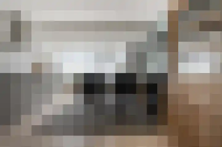 Glenn Millerstraat 15 Zaandijk thumbnail 21