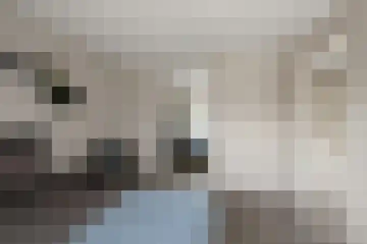 Glenn Millerstraat 15 Zaandijk thumbnail 31
