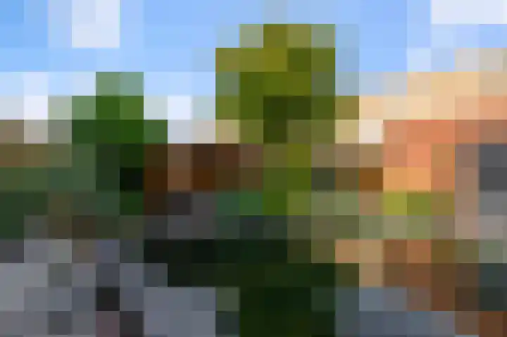Glenn Millerstraat 15 Zaandijk thumbnail 54