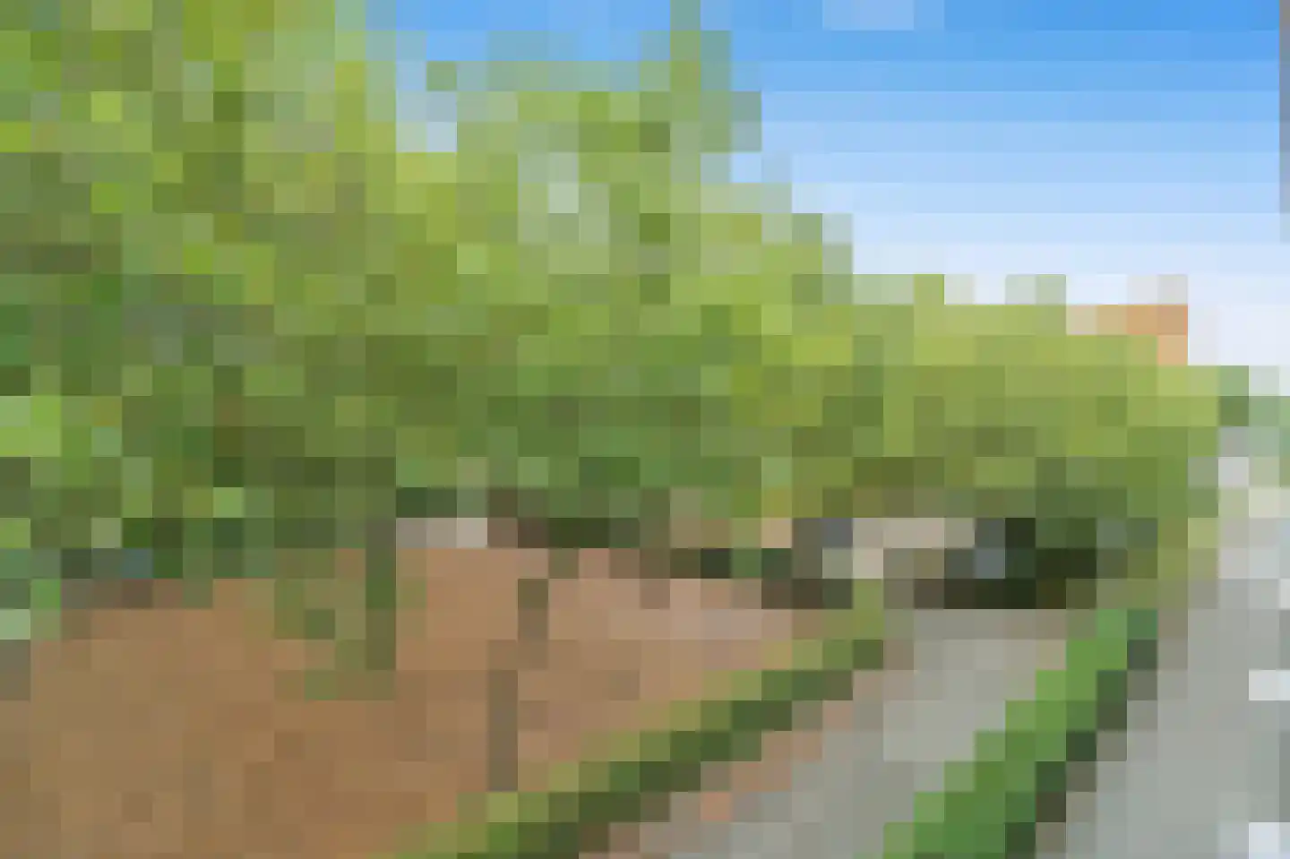 Glenn Millerstraat 20 Delft thumbnail 37