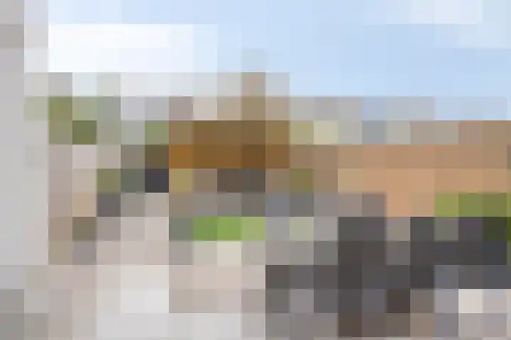 Glenn Millerstraat 23 Bergen op Zoom thumbnail 27