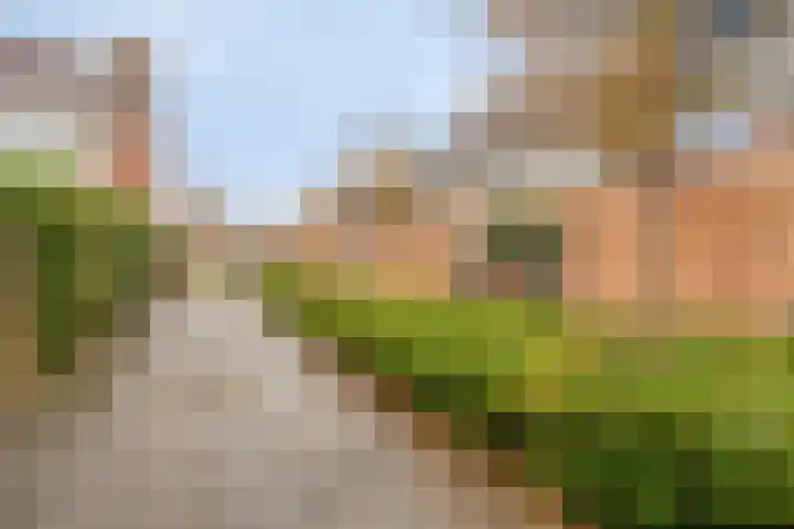 Glenn Millerstraat 23 Bergen op Zoom thumbnail 30