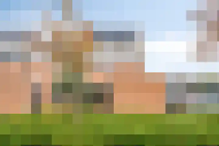 Glenn Millerstraat 23 Bergen op Zoom thumbnail 31