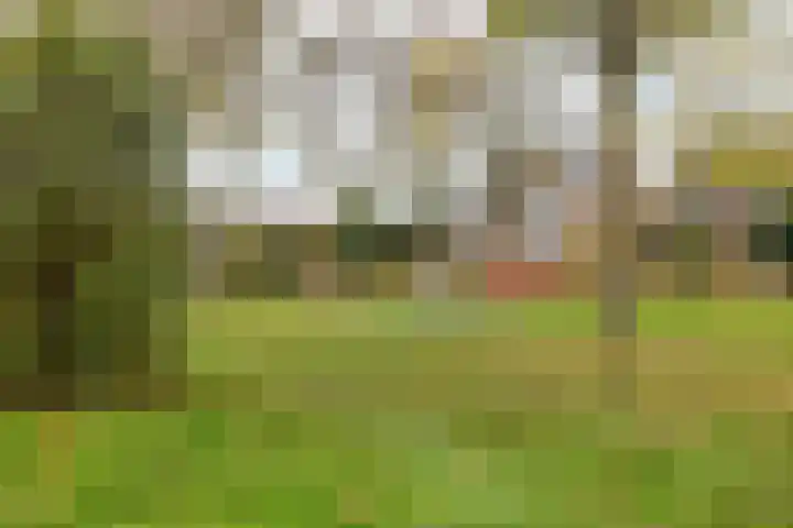 Glenn Millerstraat 23 Bergen op Zoom thumbnail 33