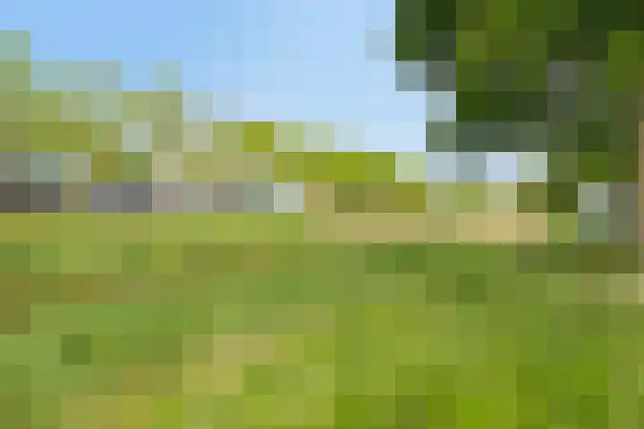 Glenn Millerstraat 7 Arnhem thumbnail 36