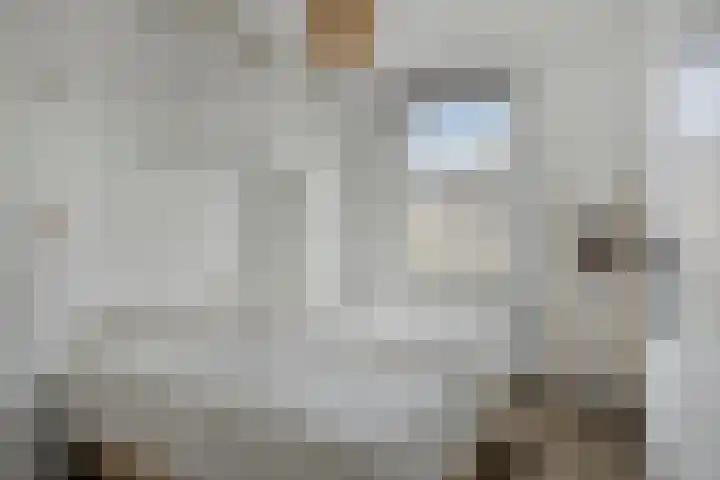 Glenn Millerstraat 78 Delft thumbnail 13