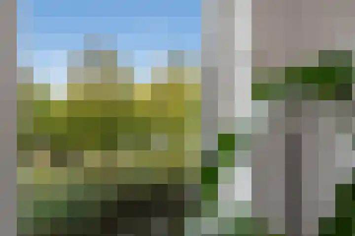 Glenn Millerstraat 84 Delft thumbnail 13