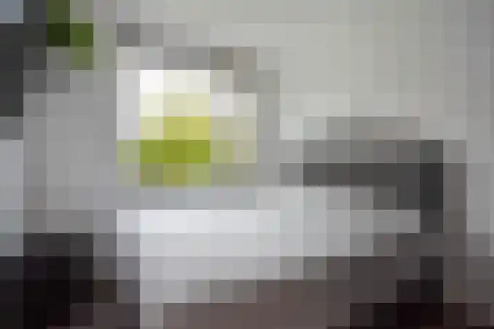 Glenn Millerstraat 84 Delft thumbnail 8