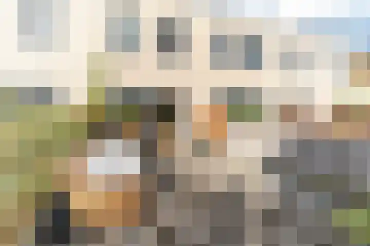 Glenn Millerstraat 98 Delft thumbnail 14