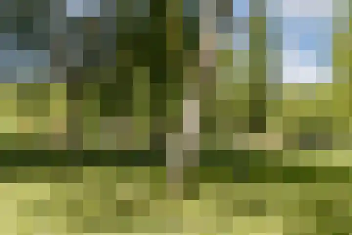 Glenn Millerweg 129 Almere thumbnail 31