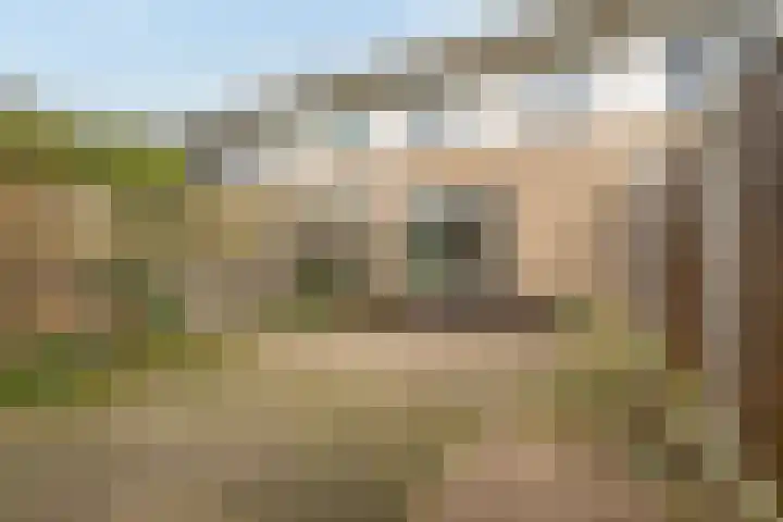 Glenn Millerweg 151 Almere thumbnail 30