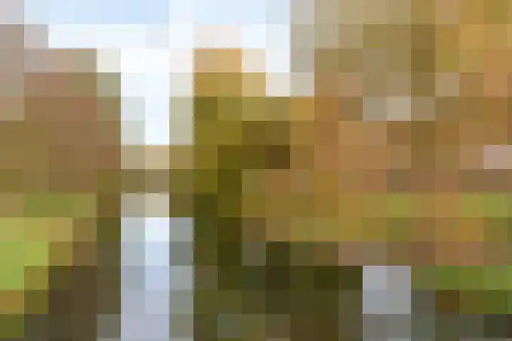 Glenn Millerweg 82 Almere thumbnail 34