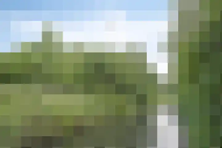 Glennhof 11 IJsselstein thumbnail 29