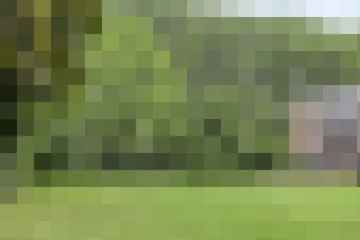 Glennhof 9 IJsselstein thumbnail 31