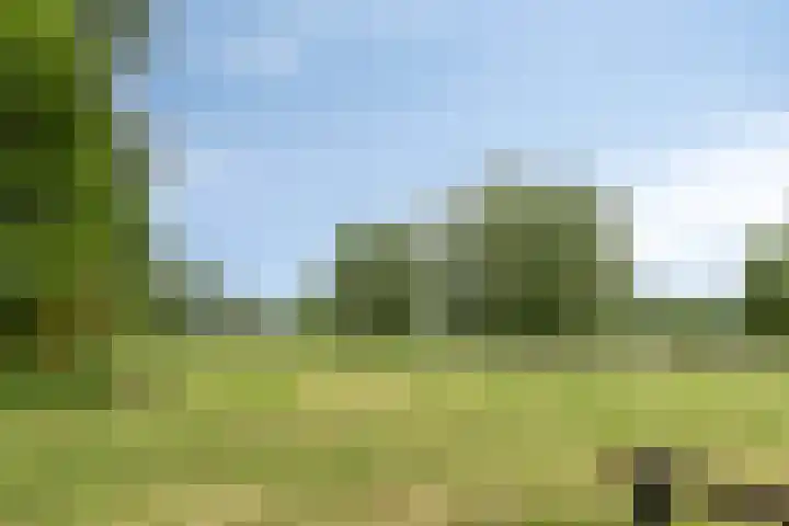 Glennhof 9 IJsselstein thumbnail 34