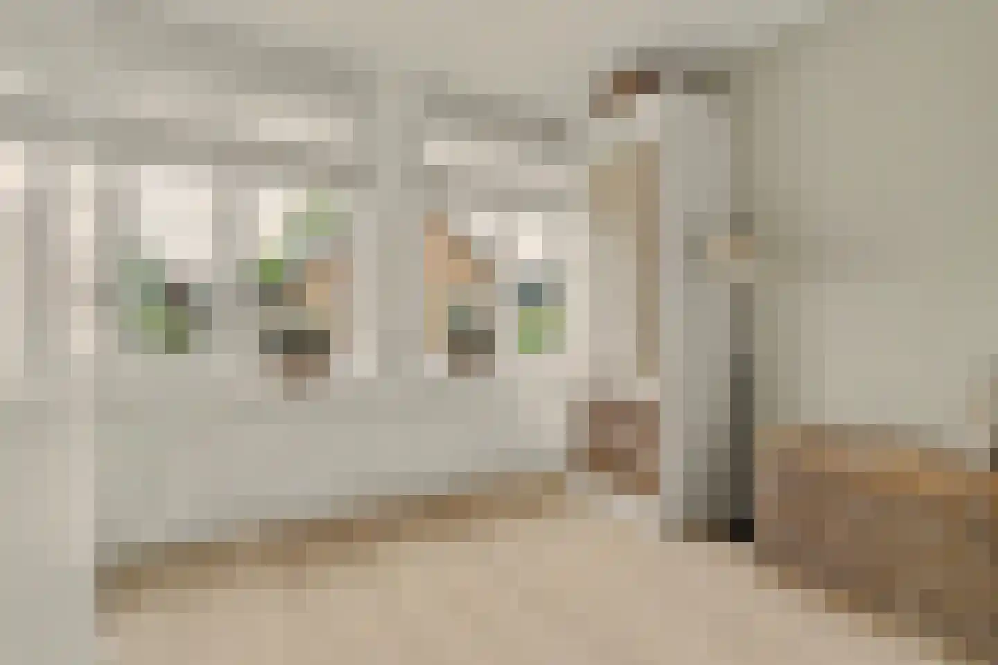 Glennstraat 4 Hilvarenbeek thumbnail 17