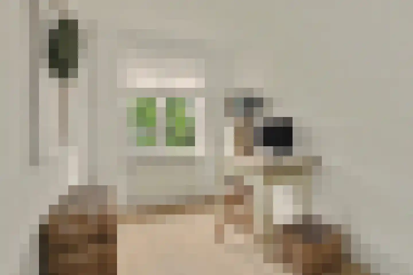 Glennstraat 4 Hilvarenbeek thumbnail 21