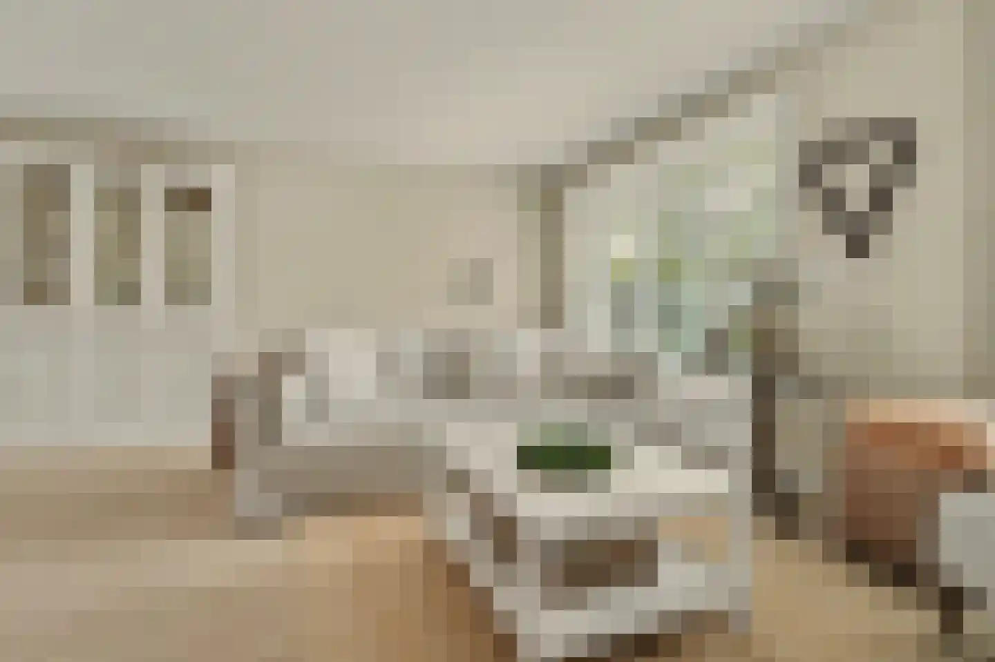 Glennstraat 4 Hilvarenbeek thumbnail 5