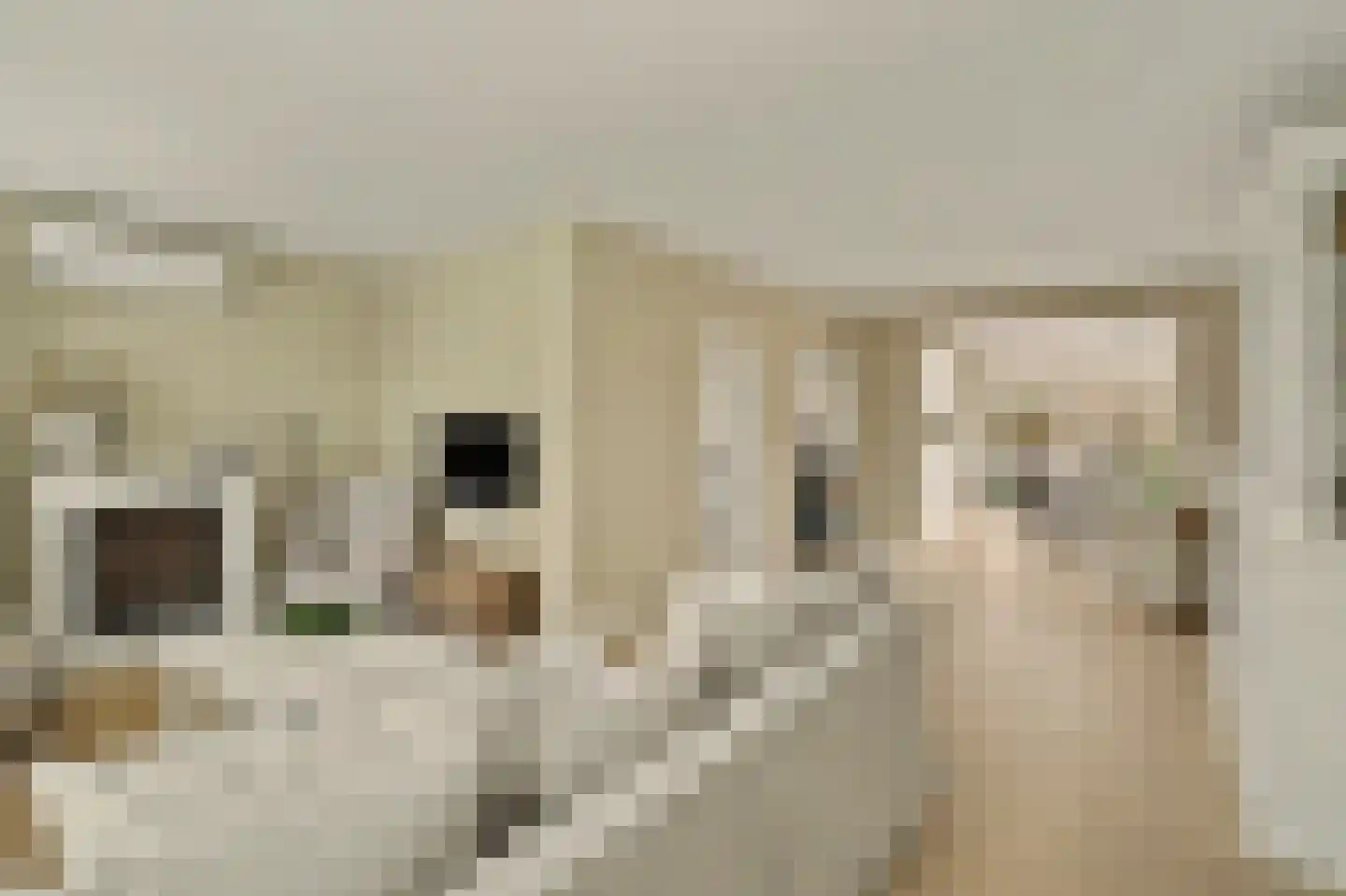 Glennstraat 4 Hilvarenbeek thumbnail 6
