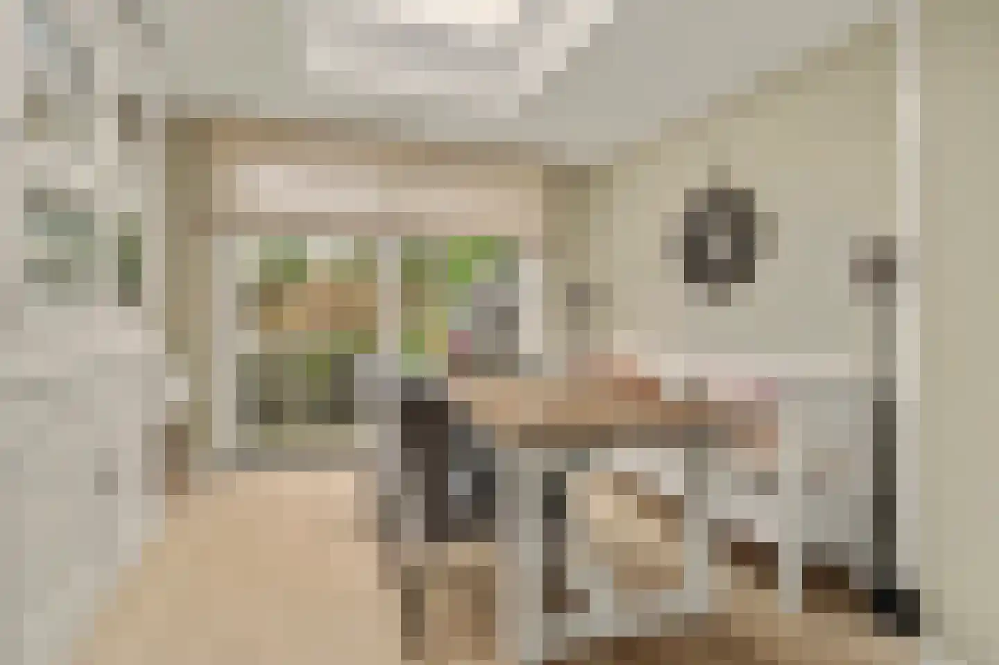 Glennstraat 4 Hilvarenbeek thumbnail 8