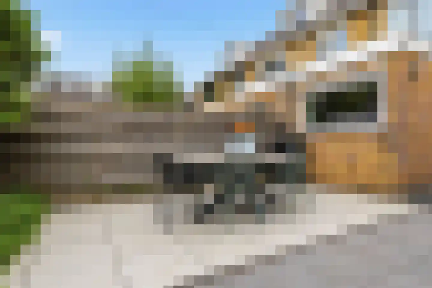 Glennstraat 6 Krommenie thumbnail 30