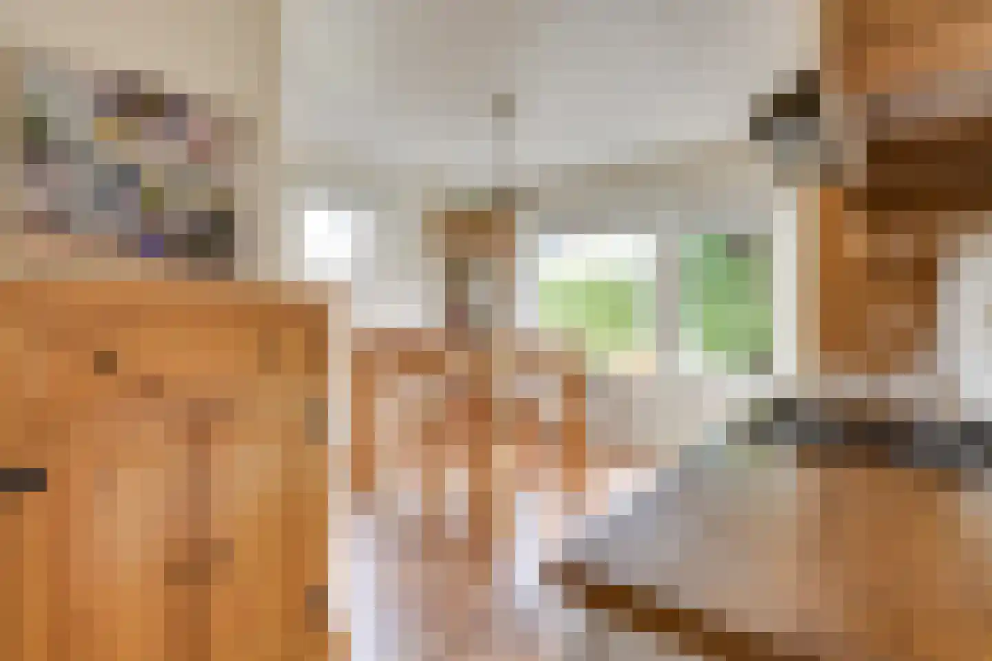 Glennstraat 8 Hilvarenbeek thumbnail 17