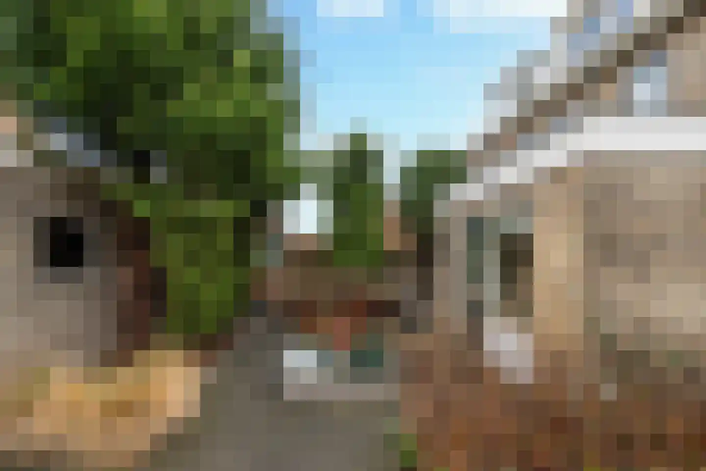 Glennstraat 8 Hilvarenbeek thumbnail 32