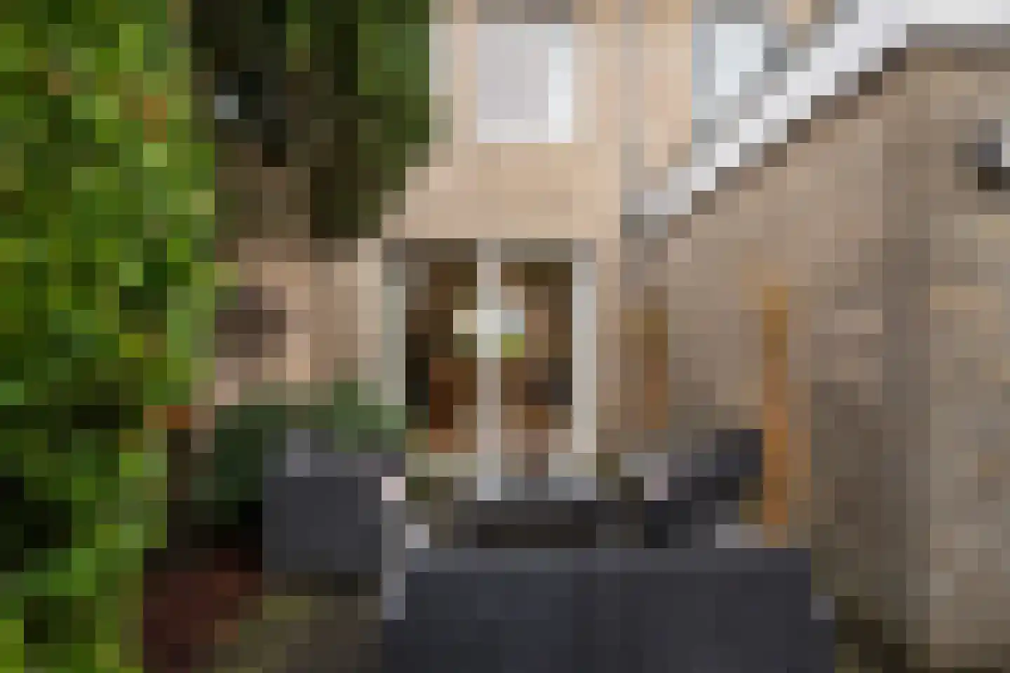 Glennstraat 8 Hilvarenbeek thumbnail 34