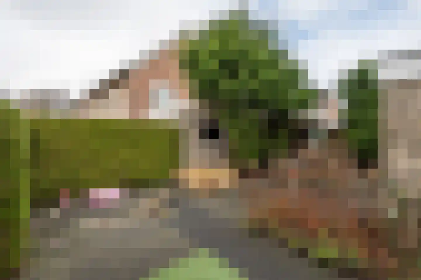 Glennstraat 8 Hilvarenbeek thumbnail 36