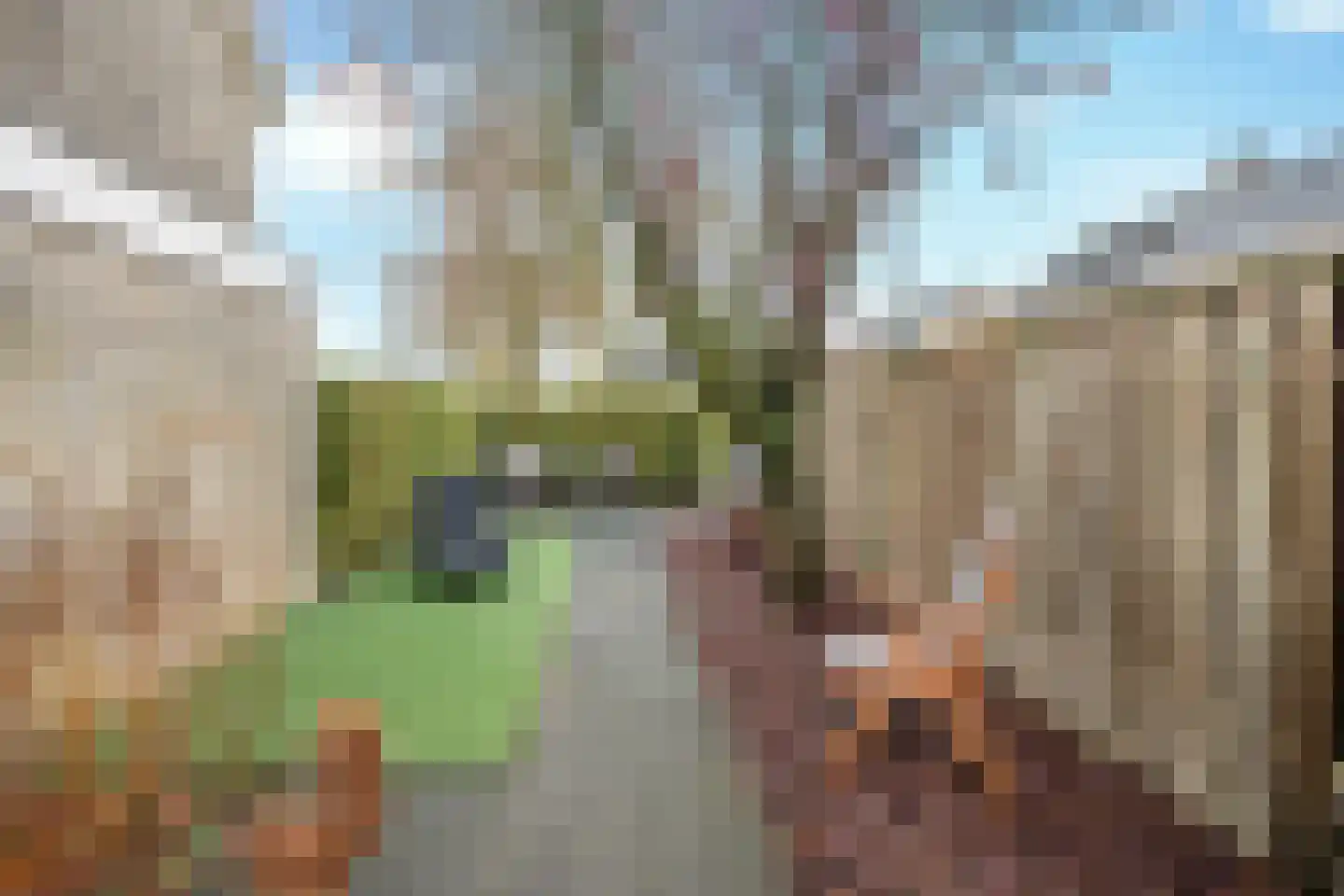 Glennstraat 8 Hilvarenbeek thumbnail 37