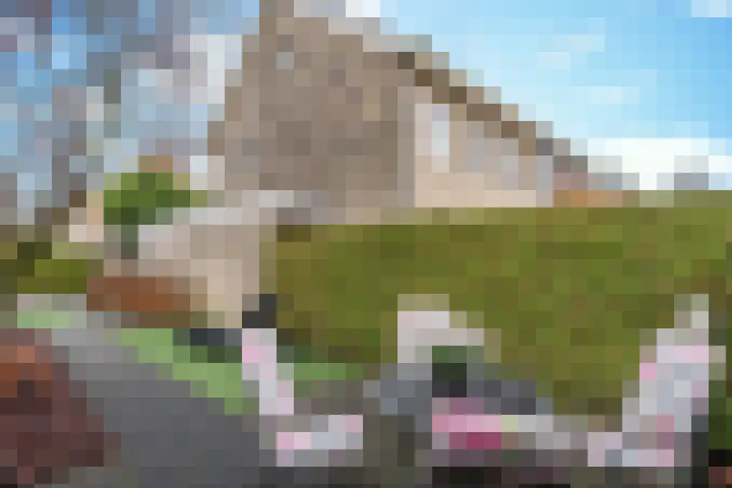 Glennstraat 8 Hilvarenbeek thumbnail 38