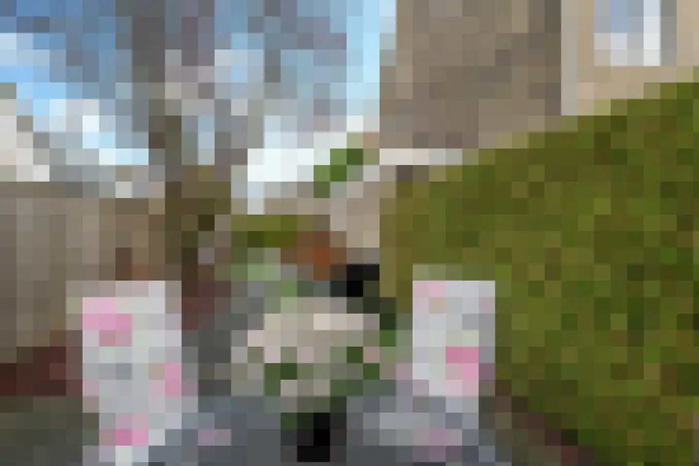 Glennstraat 8 Hilvarenbeek thumbnail 39
