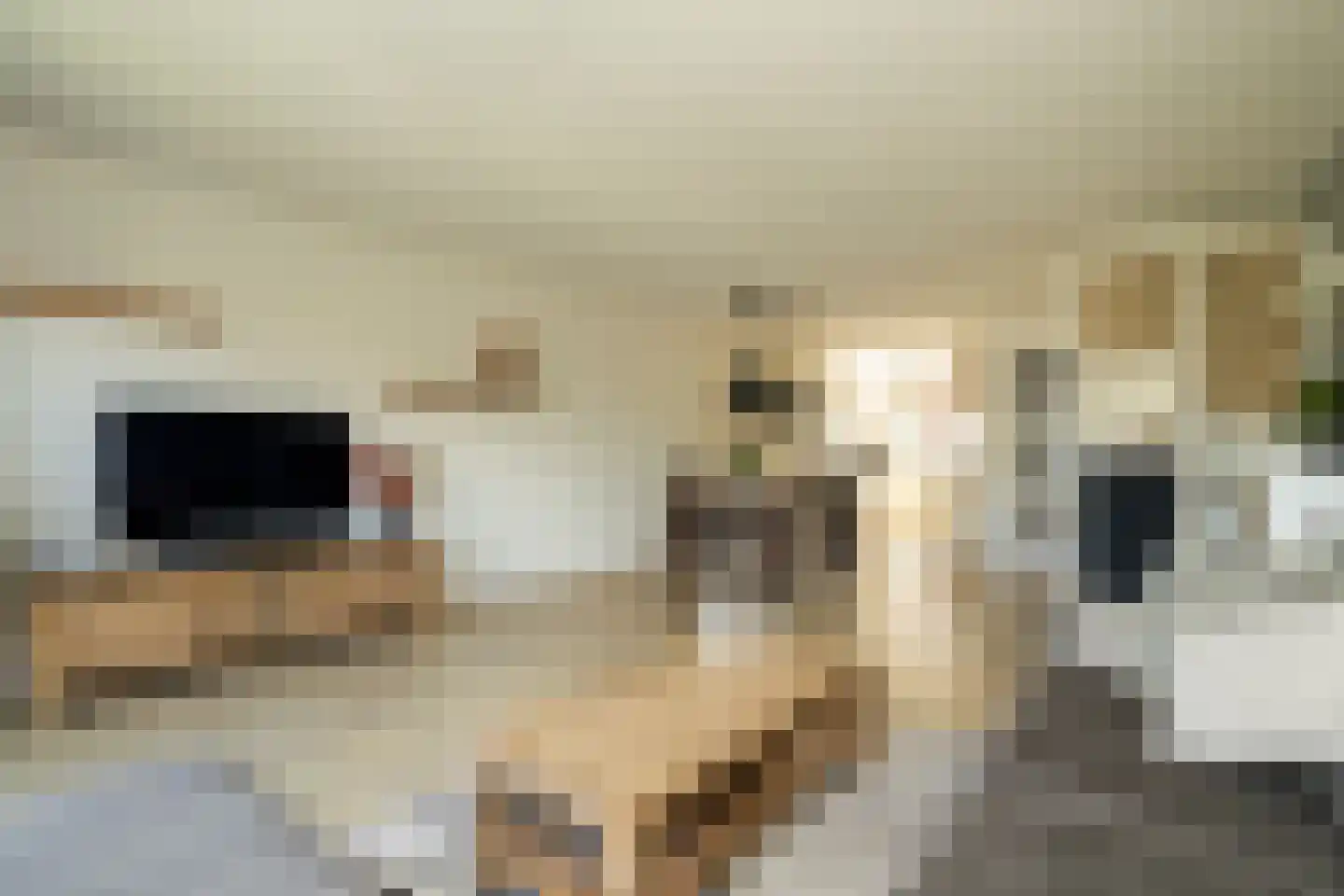Gletsjerzand 24 Naaldwijk thumbnail 10