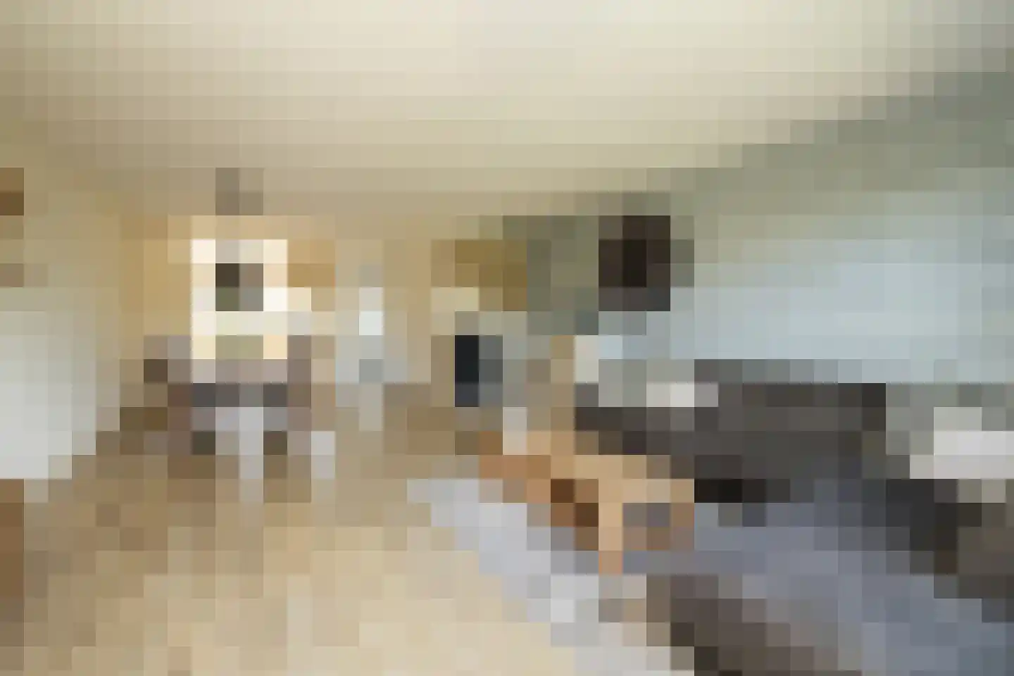 Gletsjerzand 24 Naaldwijk thumbnail 11
