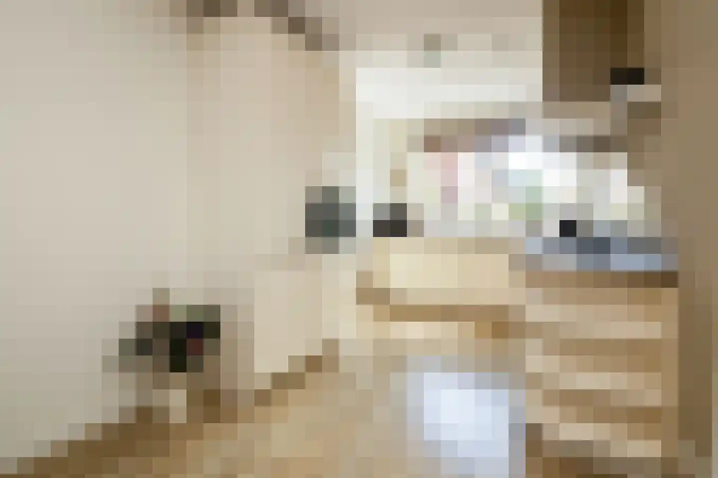 Gletsjerzand 24 Naaldwijk thumbnail 11