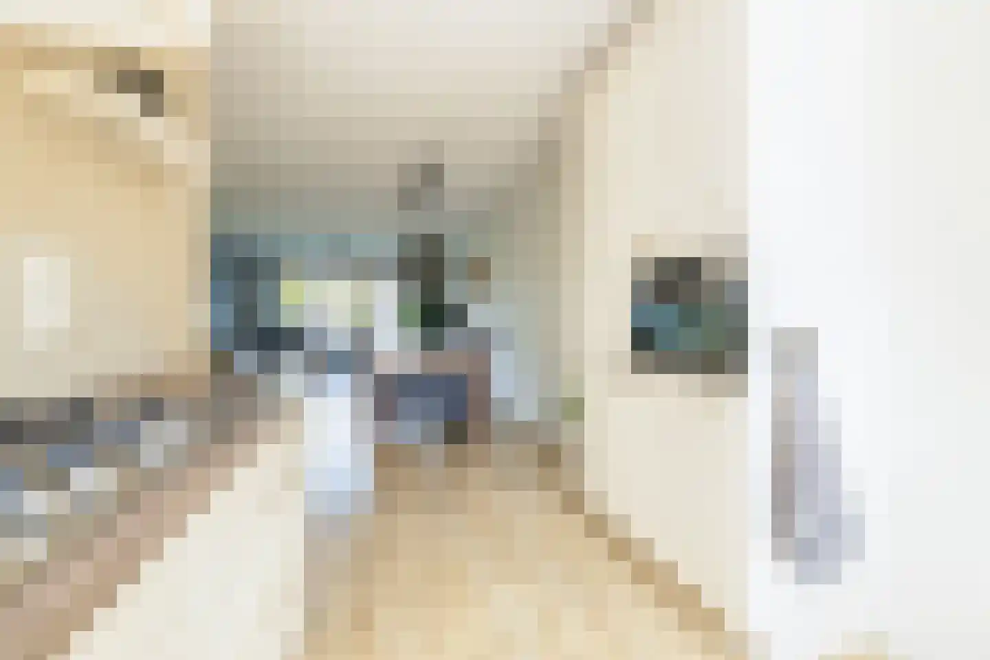Gletsjerzand 24 Naaldwijk thumbnail 14