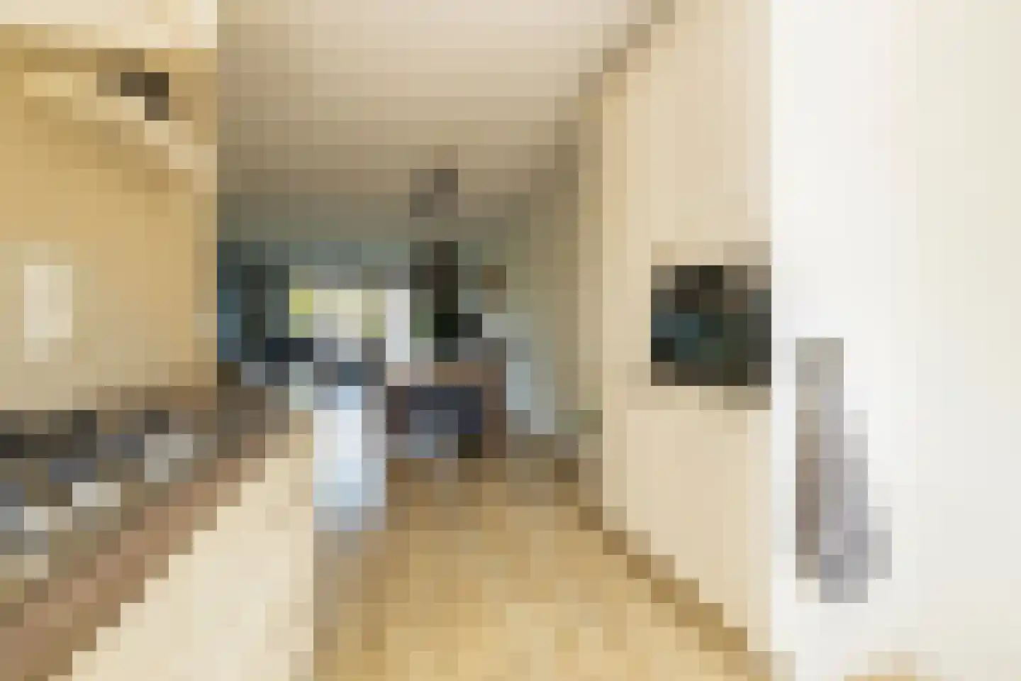 Gletsjerzand 24 Naaldwijk thumbnail 17