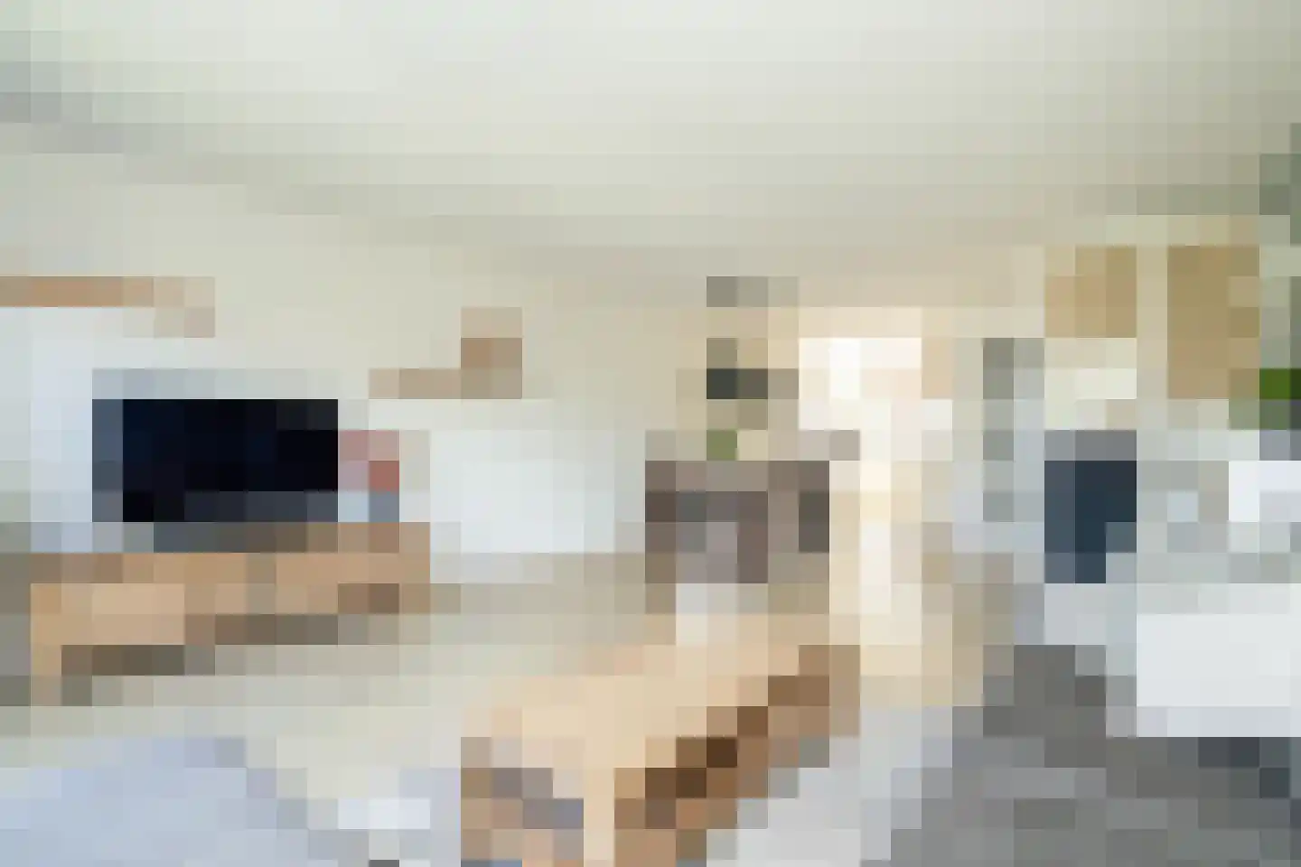 Gletsjerzand 24 Naaldwijk thumbnail 8