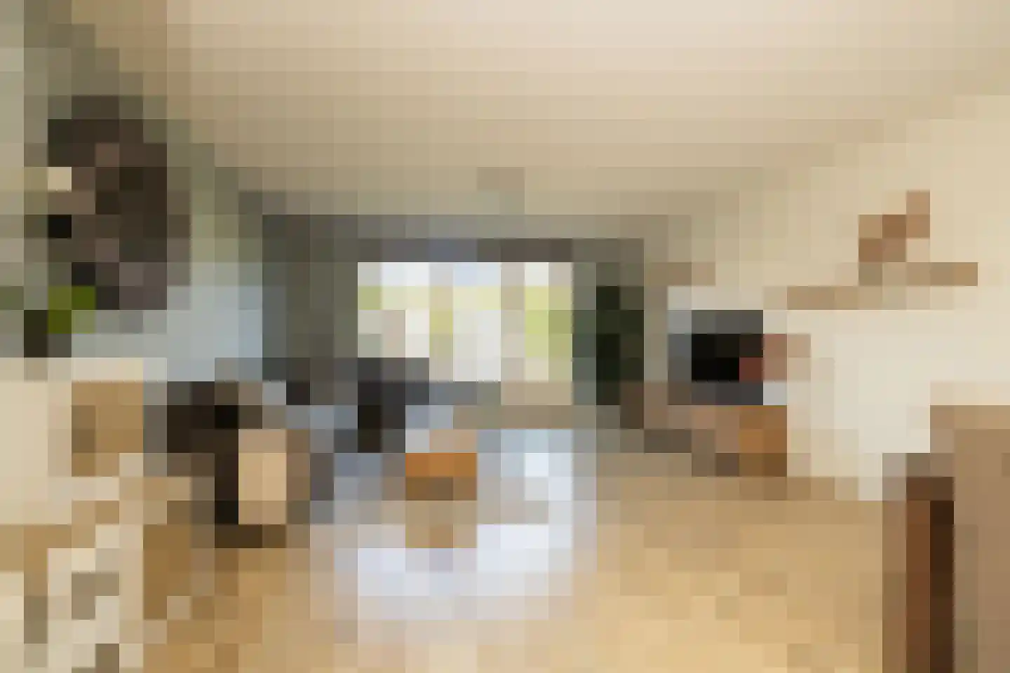 Gletsjerzand 24 Naaldwijk thumbnail 8