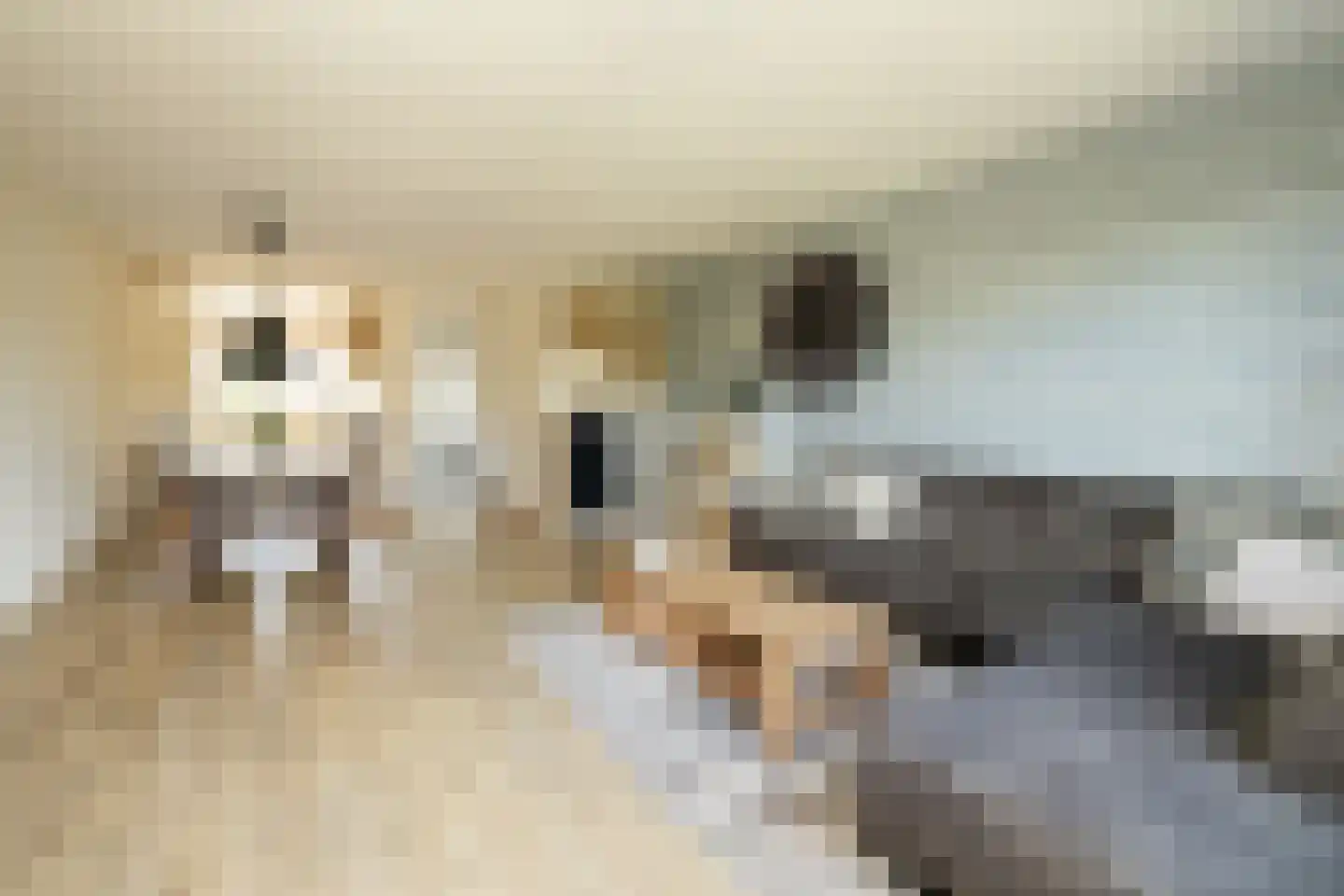 Gletsjerzand 24 Naaldwijk thumbnail 9