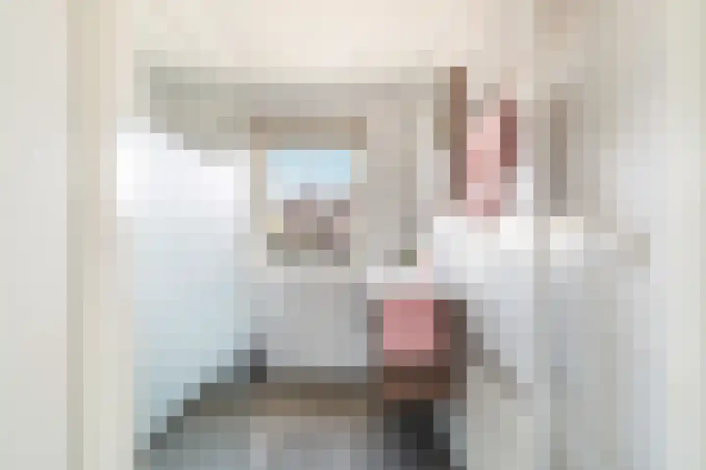 Gletsjerzand 32 Naaldwijk thumbnail 26