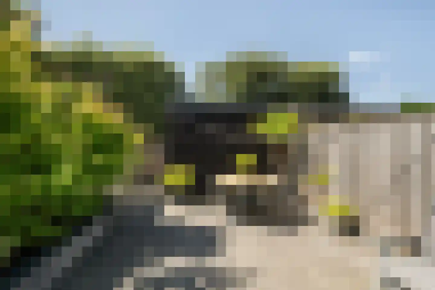 Gletsjerzand 38 Naaldwijk thumbnail 5