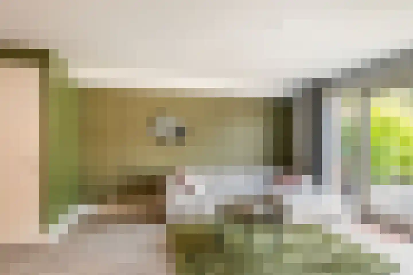 Gletsjerzand 38 Naaldwijk thumbnail 7