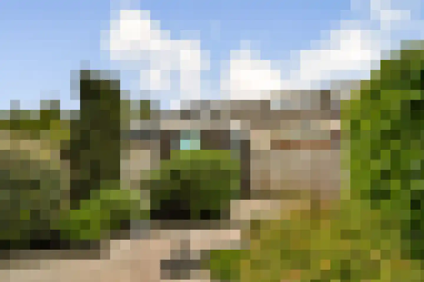 Glidkruid 5 Vlaardingen thumbnail 15