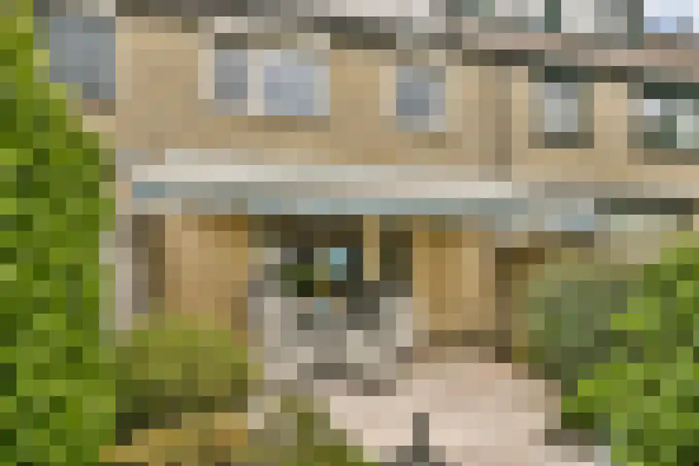 Glidkruid 5 Vlaardingen thumbnail 16