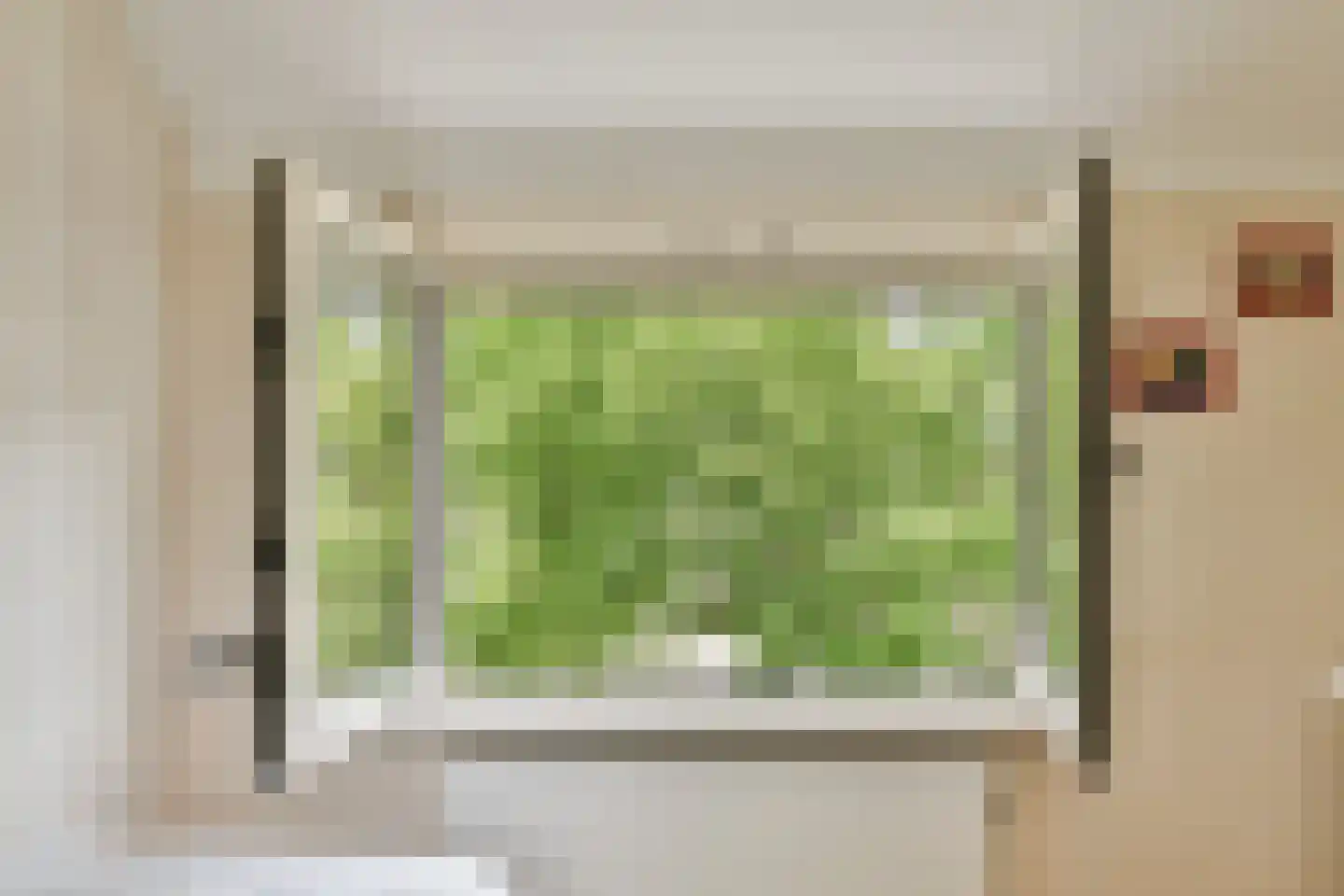 Glidkruid 5 Vlaardingen thumbnail 26