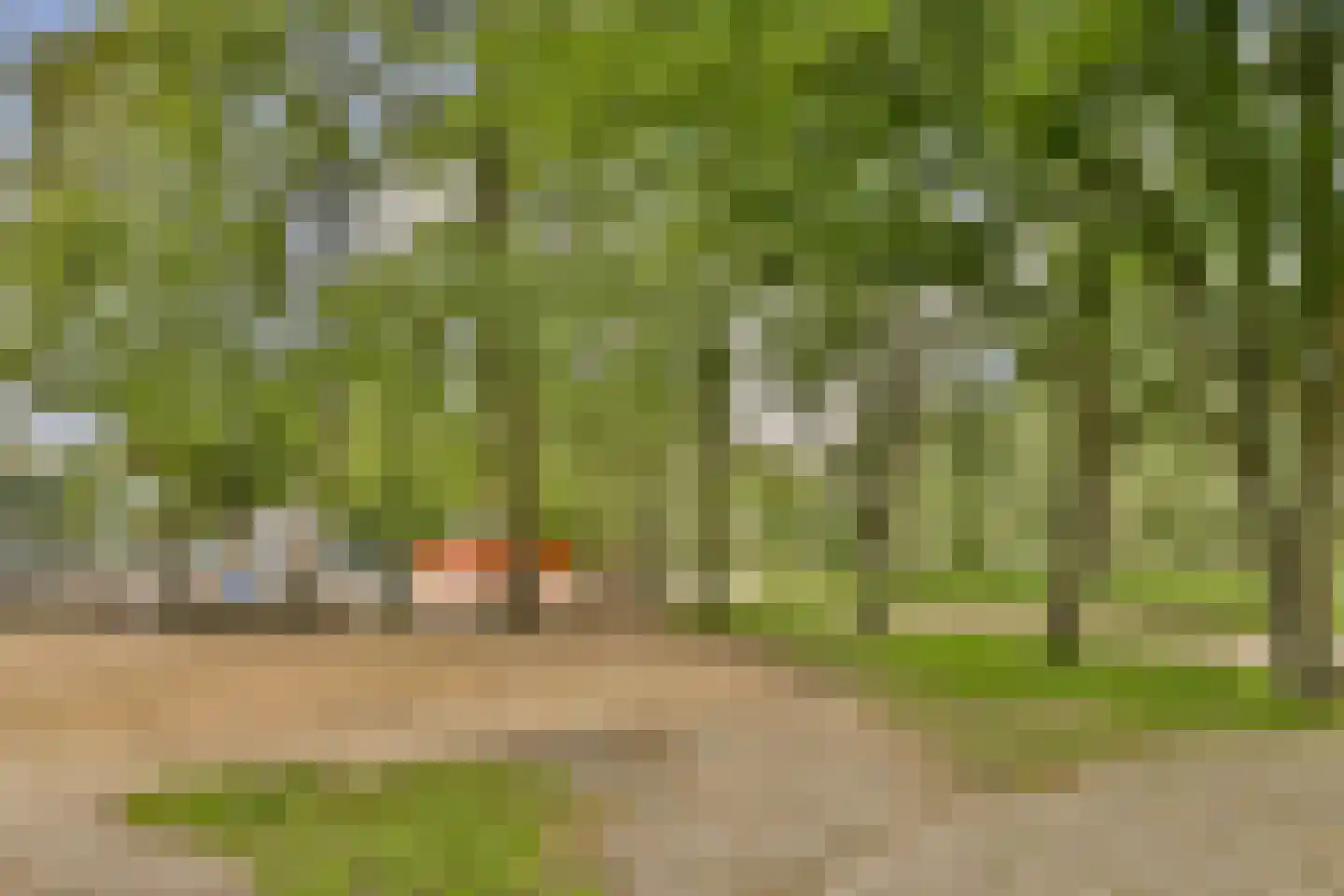 Glidkruid 5 Vlaardingen thumbnail 33