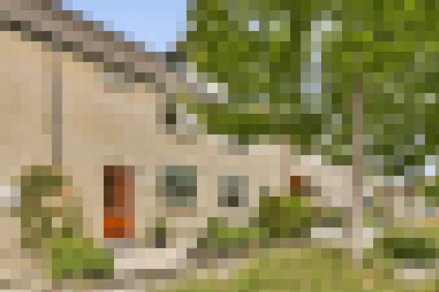 Glidkruid 5 Vlaardingen thumbnail 35